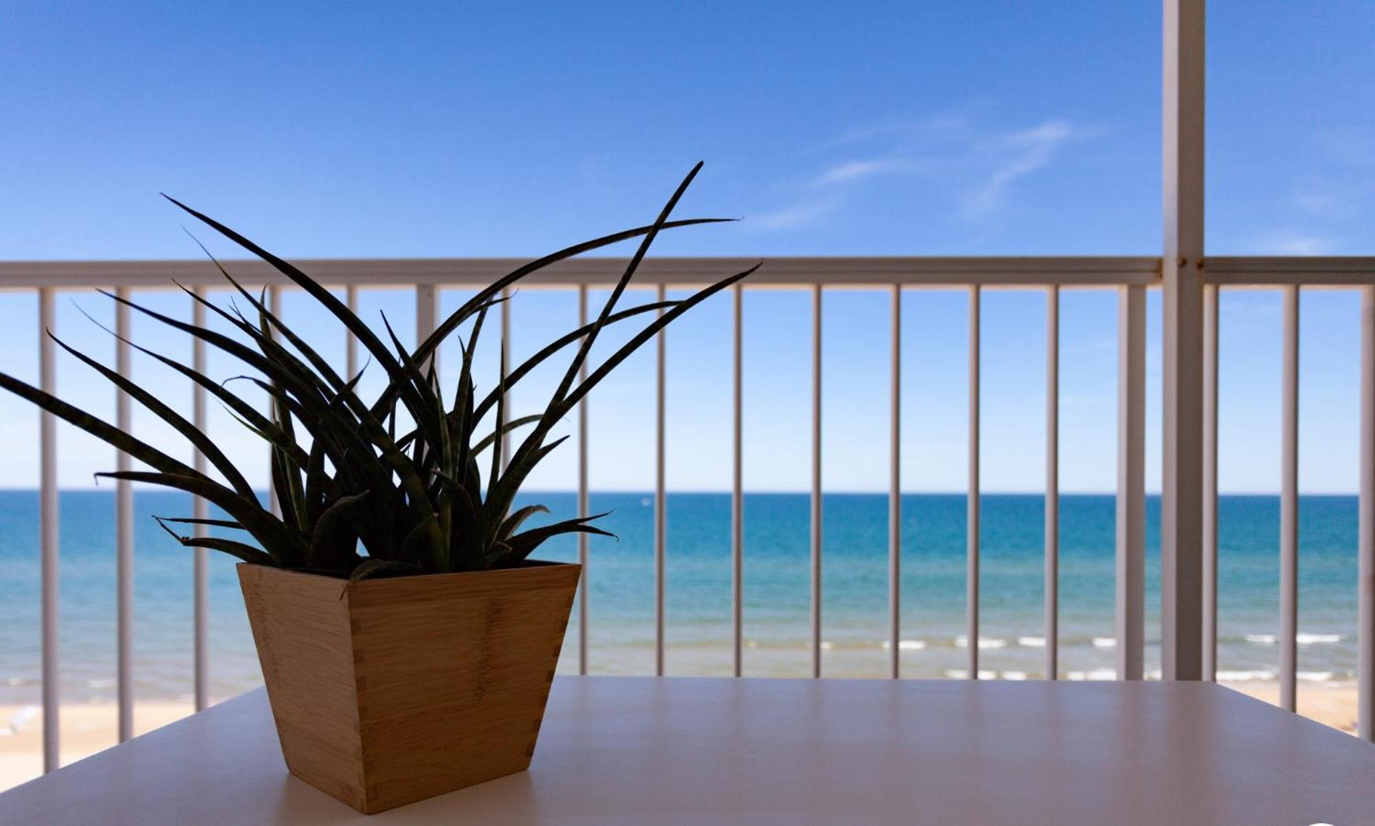 Apartamento Primera Linea De Playa Bellreguard Ngoại thất bức ảnh